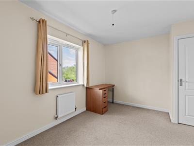 Picture 13